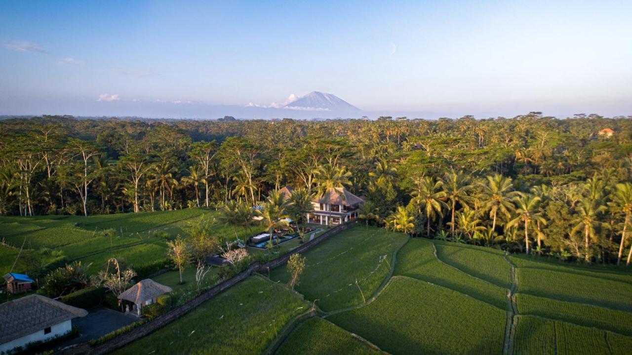Amala Villas Ubud By Nakula מראה חיצוני תמונה